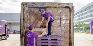 <?php the_title(); ?>