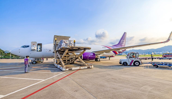 拒绝同质化竞争，跨越快递靠这三大抓手筑牢优势